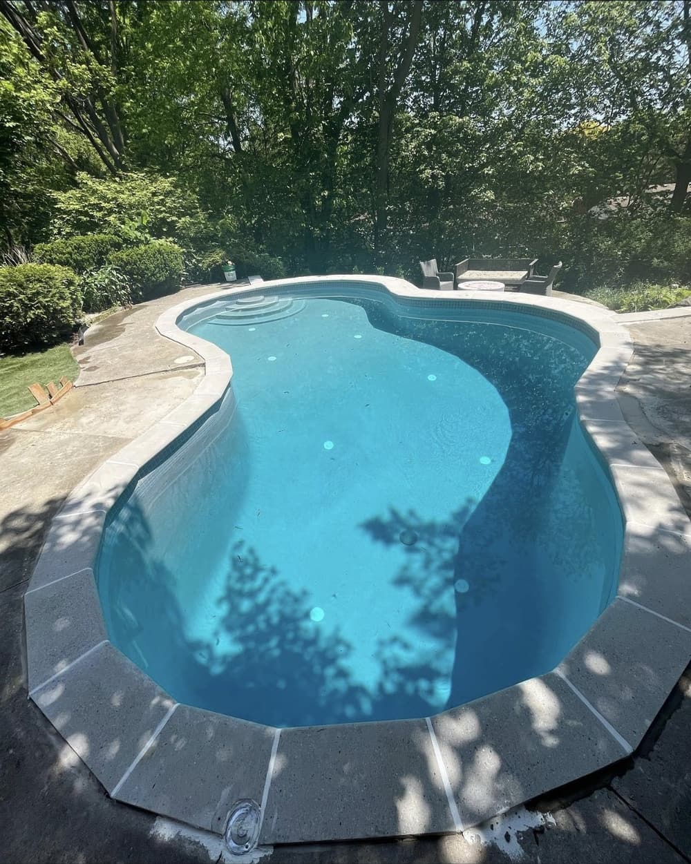 Renovated freeform pool with new stone coping, filled and ready to swim