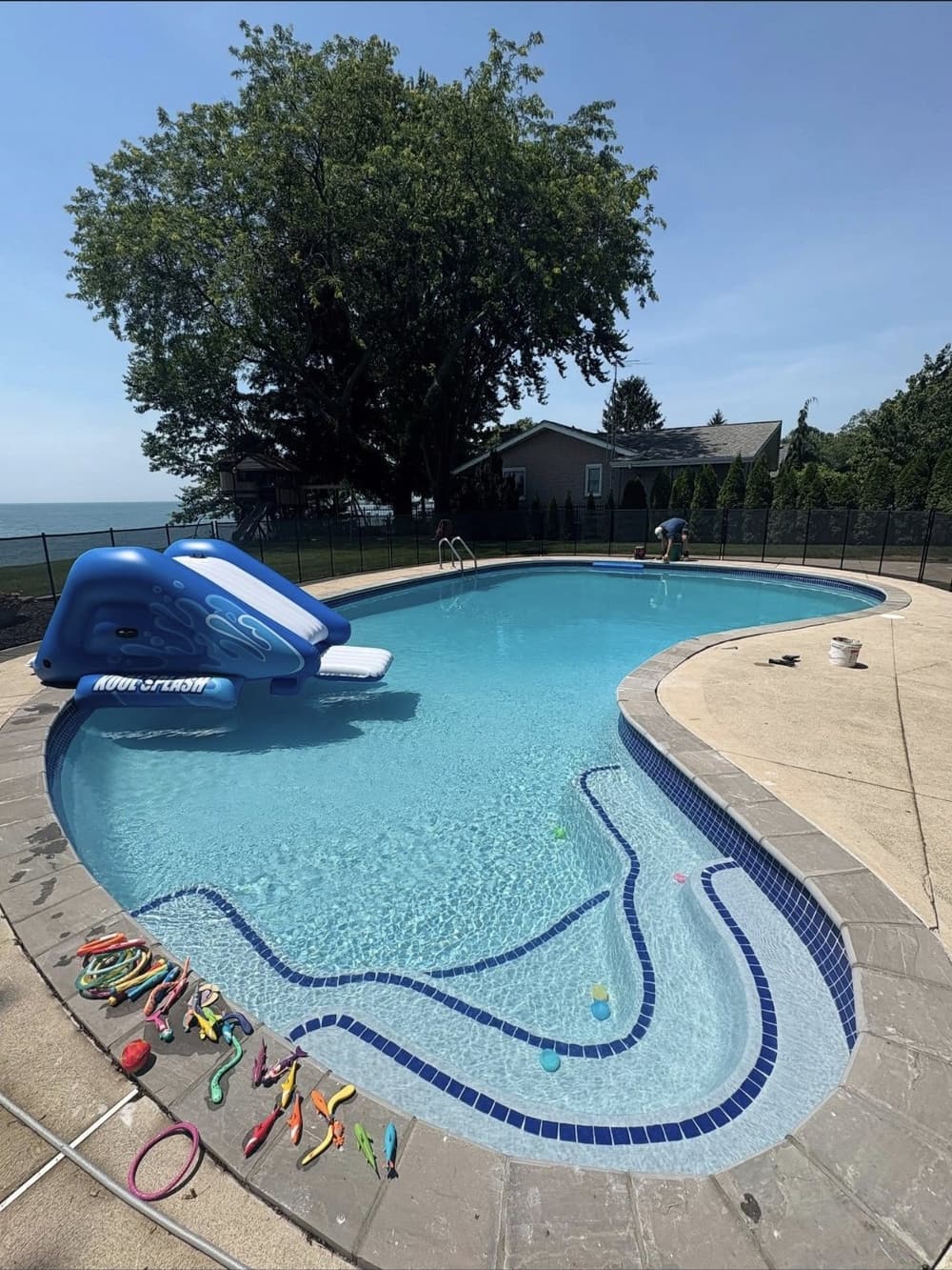 Resurfaced kidney-shaped pool filled, with new blue waterline and step tile